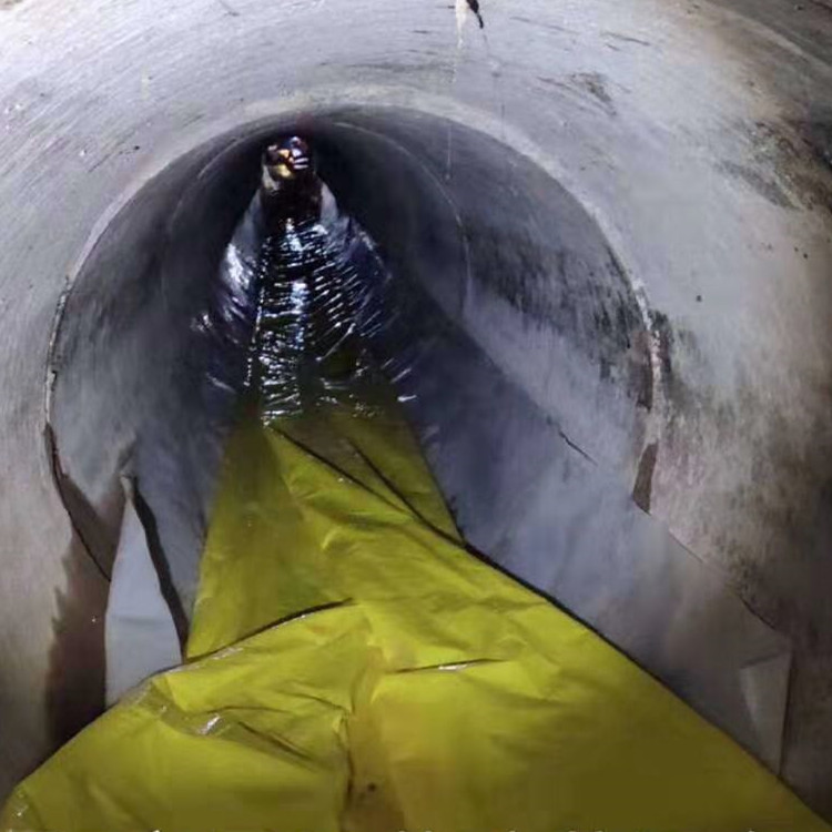 呼伦贝尔管道光固化修复